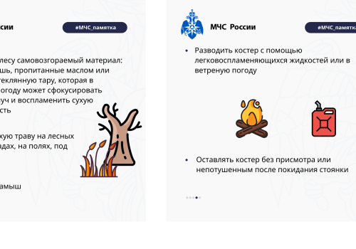 КАК НЕ ДОПУСТИТЬ ЛЕСНОЙ ПОЖАР: